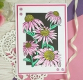 Bild 4 von For the love of...Stamps by Hunkydory - Clear Stamps Coneflower Delights