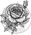 StempelBar Stempelgummi Vintage Rose