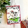 Bild 4 von Whimsy Stamps Clear Stamps - Southern Heifer - Kuh