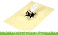 Bild 11 von Lawn Fawn Cuts  - Stanzschablone pop-up bee - Pop-Up Biene