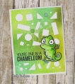 Bild 2 von Your Next Stamp Stanze  Crazy Shapes Panel Die