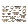 Bild 2 von Tim Holtz Idea-Ology Transparencies - Moths